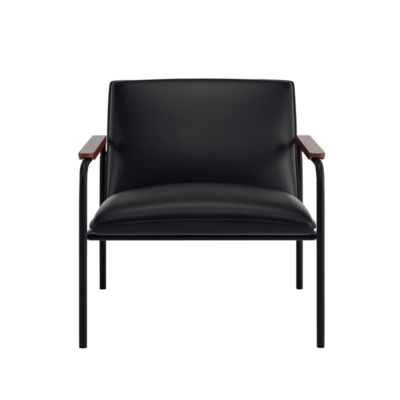 Minimalist Single Lounge Armchair Iron Frame With Cushion Back Easy Put Antique Design