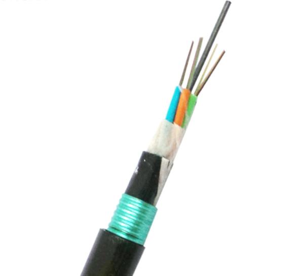 G652D 48F Outdoor Direct Burial Armored Fiber Optic Cable Single Mode Anti Rodent
