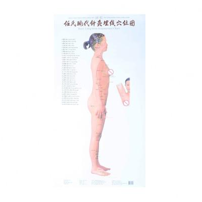 Carta de pontos meridiana do Acupressure de Acupoint da cultura da acupuntura do corpo humano