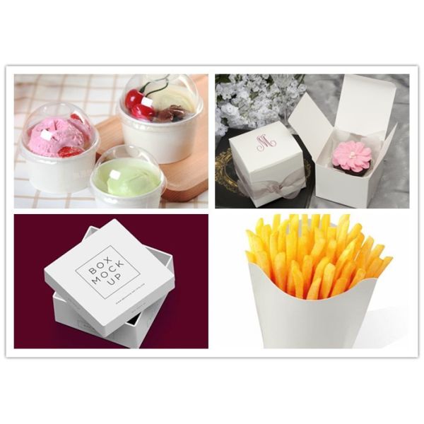 Food Package Pe Coated Recyclable White Kraft Paper Food Grade