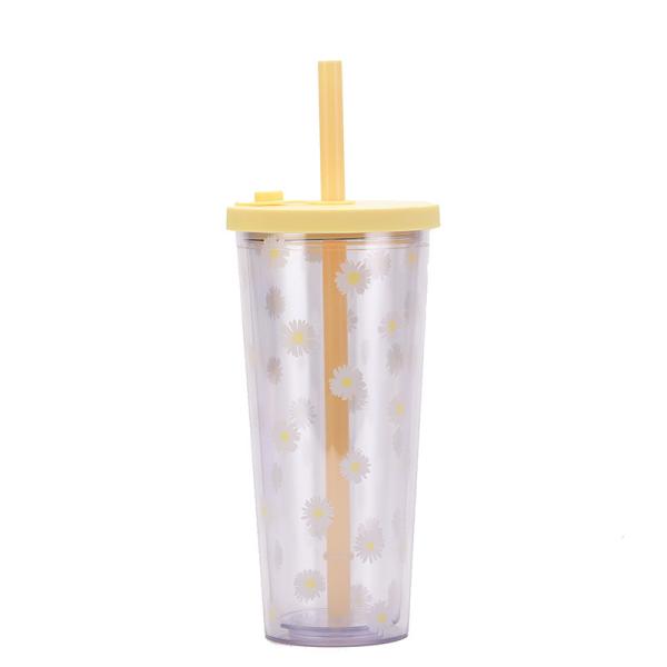 Clear Insulated Double Wall Plastic Tumblers 24oz With Lids And Straws