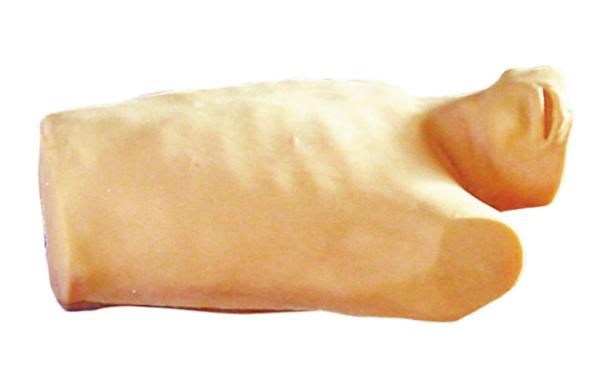 Health care simulation Pericardial pucture , endocardial injection Models