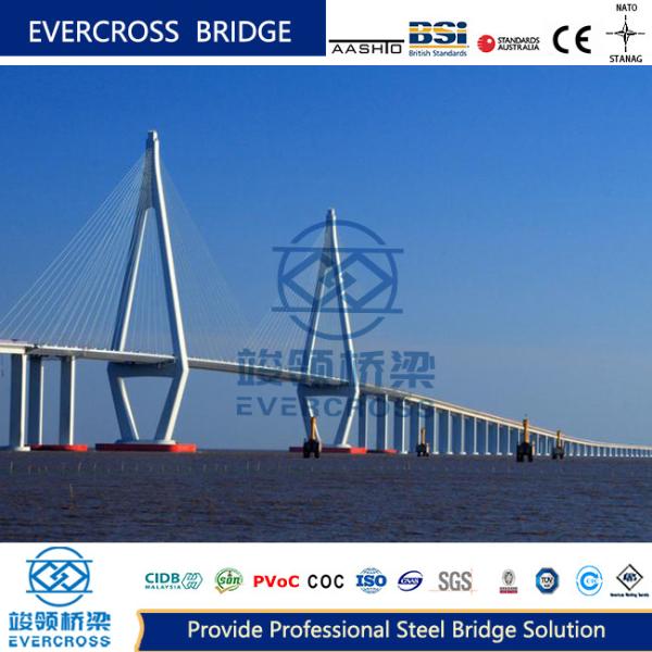 Customized Width Cable Suspended Bridge Steel Frame Bridge Double Span