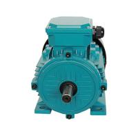 Motor eléctrico trifásico del ms IP44 7.5Hp 5hp 1.5Hp 1.1kw