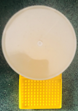 Plastic European Square Honey Bee Feeder For Beekeeping