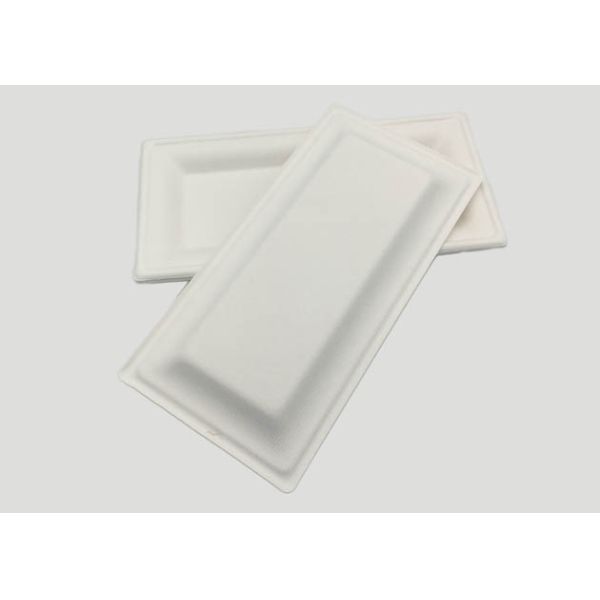 Sugarcane Rectangle Dinner 10