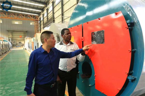500kg/H Factory Direct Supply Industrial Oil/Gas-Fired Steam Boiler Machine For Beekeeping