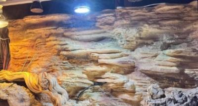 Water Resistant Reptile Tank Background Eco Friendly And Easy Maintenance