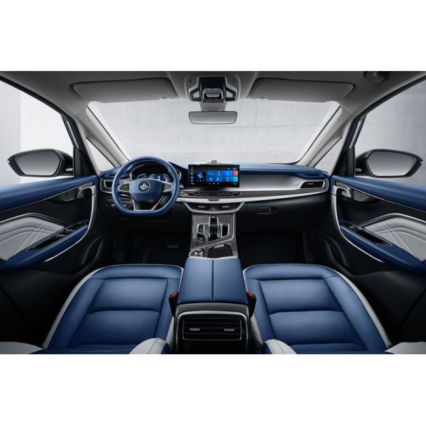 2024 Hot sales EV Electric Vehicle Maple Leaf 80v PRO Pure electric