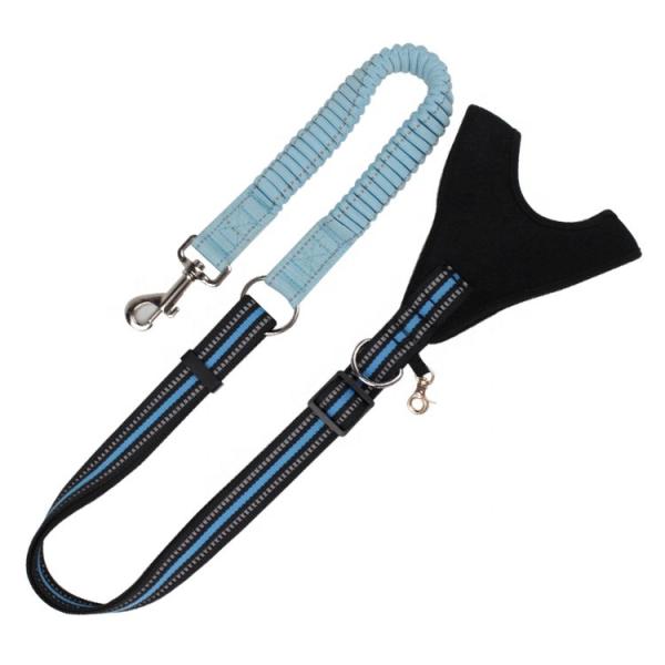 Fashion Custom Bungee Elastic Extended Retractable Nylon Braided Rope Dog Leash