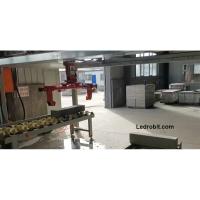 Equipamento de carregamento e descarregamento de pinças personalizadas