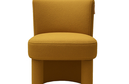 Fully Upholstered Accent Dining Chair BW-503
