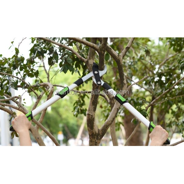 Aluminum Handled Telescopic Tree Lopper for Customized Support OEM and Anti-Slip Grip
