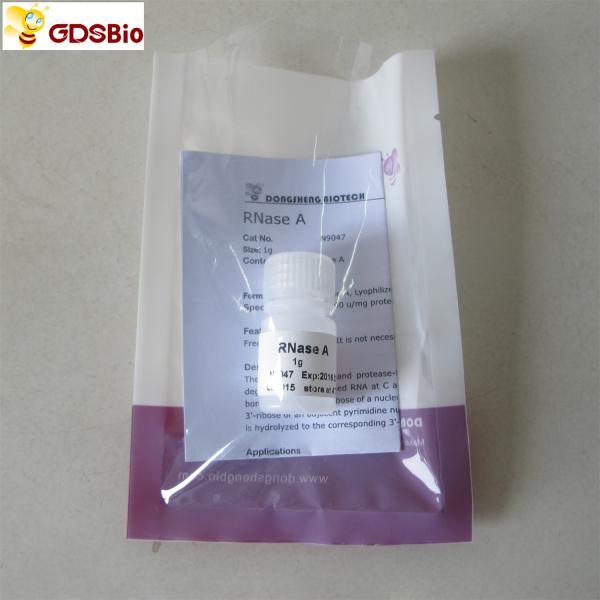 White Powder RNase A Powder Cat. No.N9047 1g GDSBio