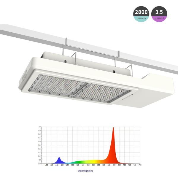 800W Indoor Grow Lights 1:1 Replace HPS Layout Longer Lifespan 50000 Hours