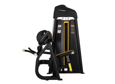 Biceps selecionados Curl & Triceps com venda a quente