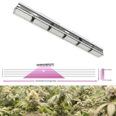 Aluminum Body Greenhouse LED Grow Lights 480 Watt With ETL Certification