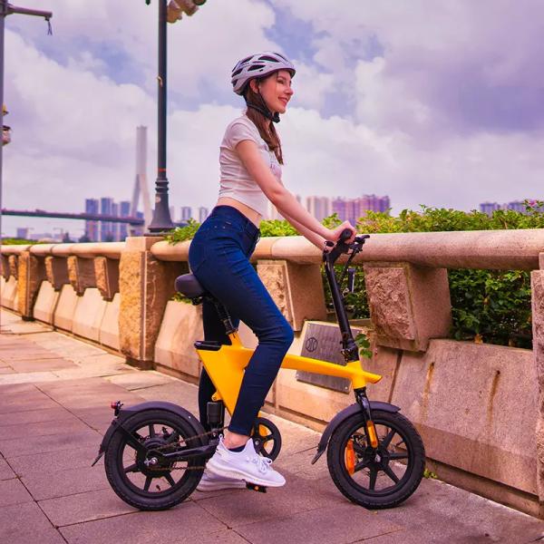 70-75km Range Lithium Ion Rechargeable Battery with 15° Climbing Angel