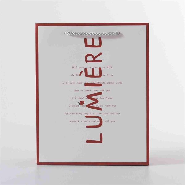 OEM 300gsm Printed Paper Gift Bags Bulk For Valentine's Day