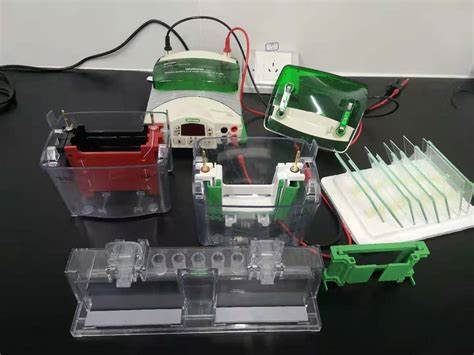 Bio Rad Powerpac 100–120/220–240v Basic Electrophoresis Power Supply To Submerged Horizontal Gel Electrophoresis