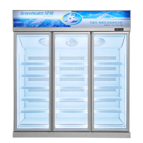 Нержавеющая сталь -22°C Вертикальный коммерческий дисплейный морозильник с тремя дверями