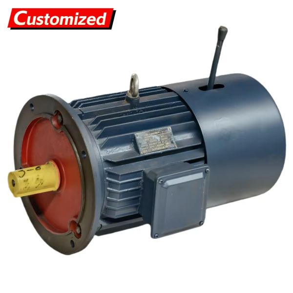 Explosion-Proof Variable Frequency Drive Motor with Braking Function and IP55 Protection for Industrial Applications