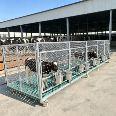 Modular 5-Stall Mobile Calf Pen