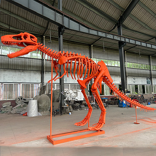 Museum Exhibition Education Dinosaur Skeleton Replica T Rex Skeleton Fossil
