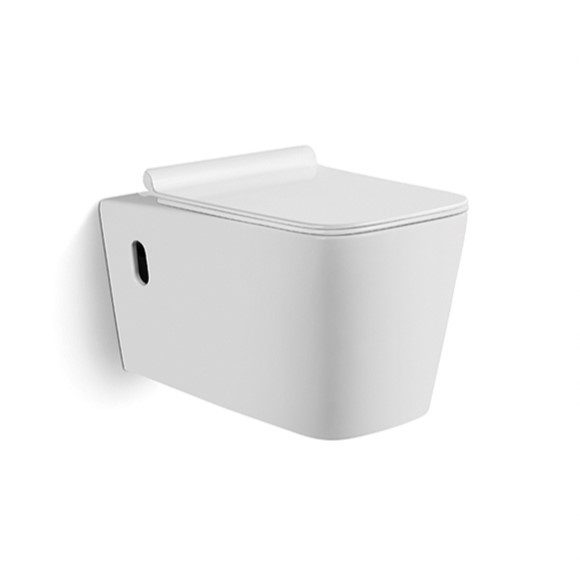 Ronde sans bordure Sanitaire céramique facile à nettoyer économisez de l'espace