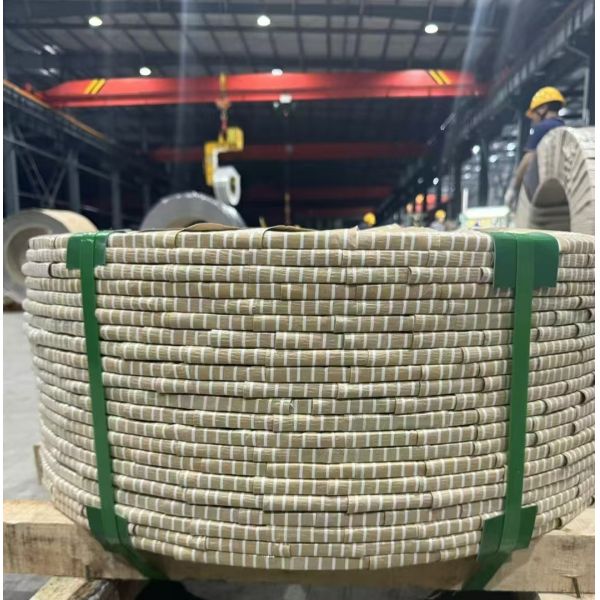 301 Шнурки из нержавеющей стали JIS G4305 SUS 301 1.4310