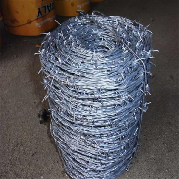 type of barbed wire/fence barbed wire army/steel wire fence/constantine wire for sale/barbed wire ring/bar wire