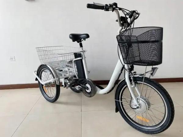 36V 250W Motor 3 Wheel Cargo Bike Tricycle Electric For Adult Derailleur 3 Speed