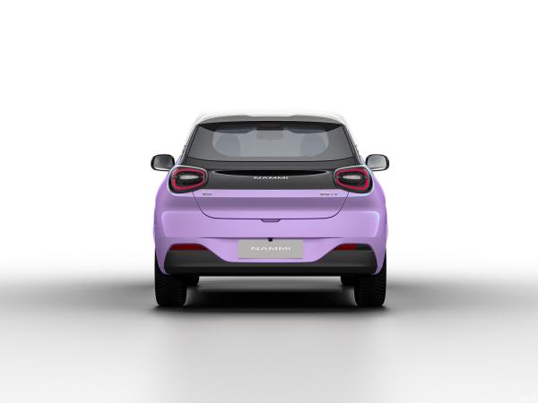 Max Smart Energy Vehicle Dongfeng Nami 01 2024 430 with 4030*1810*1570 Body Structure