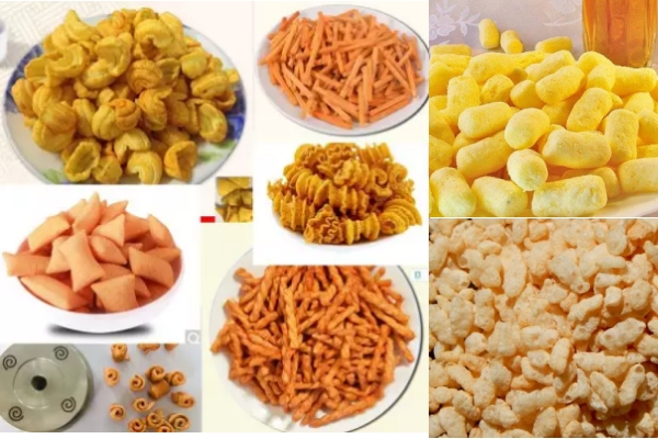 50 kg/h en acier au carbone Produits aquatiques de petite taille Extrudeuse à vis pour aliments pour animaux de compagnie Production d'aliments gonflés Fabrication d'aliments pour animaux