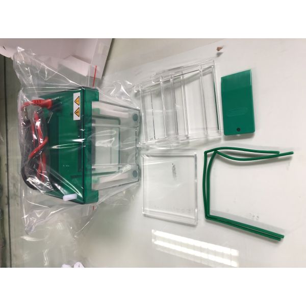 Vertical Gel Electrophoresis Equipment Mini Protean Vertical Electrophoresis Cell