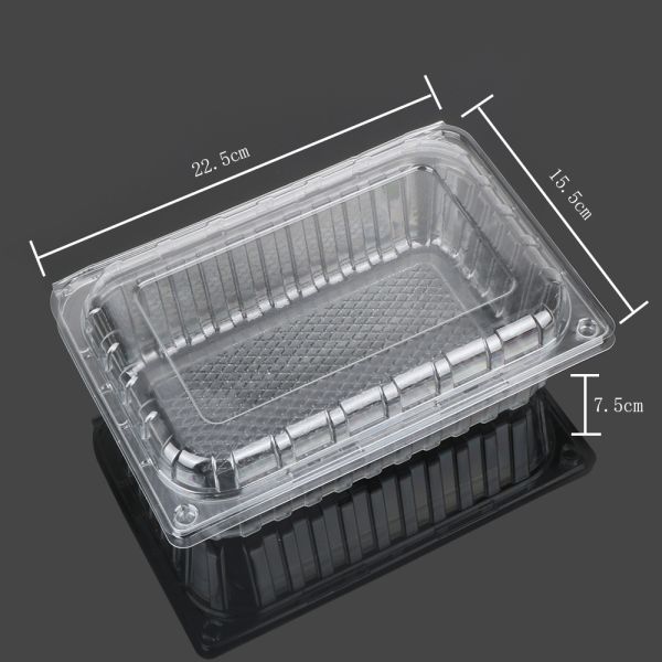Virgin Food Grade PET 22.5cm Disposable Plastic Food Box
