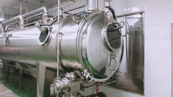 Secadores farmacêuticos do metal, máquina mais seca da correia transportadora do vácuo para o fruto