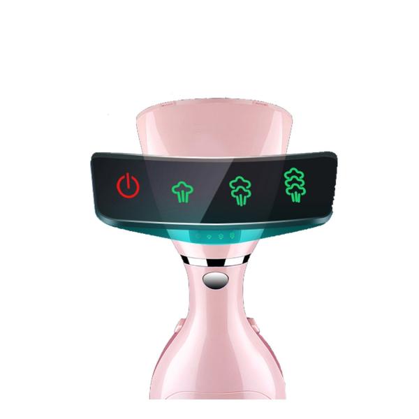 12-15mins Working Time Handheld Garment Steaming Iron for Easy Home and Continual Steam