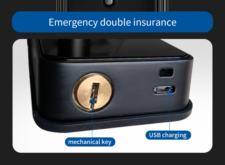 Интеллектуальный пароль отпечаток пальца дверной замок TTlock Автомобильные дверные замки для дома