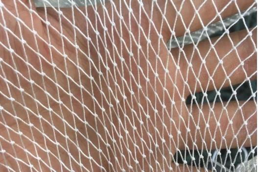 Green Commercial Fishing Net 1mm-8mm Twine Diameter 10mm-1500mm Mesh Size