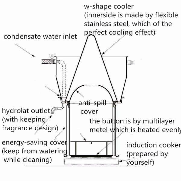 Energy Saving Organic Lemon Juice Extracting Machine 9.8 KG Super-Critical Co2 Machine for Essential Oil Extraction