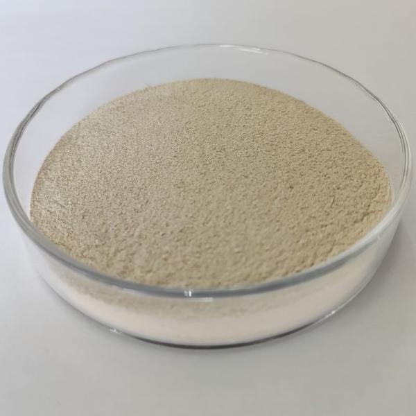 Non-hazardous Industrial Enzyme Recommended Dosage 500-1000 Enzyme Activity 1000-2000