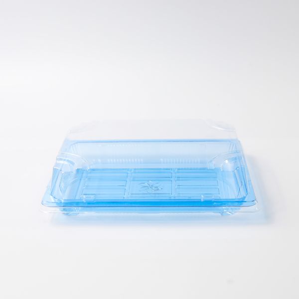 Caja de embalaje para llevar de plástico para buena comida Contenedor de alimentos cuadrado de plástico azul caja desechable de sushi