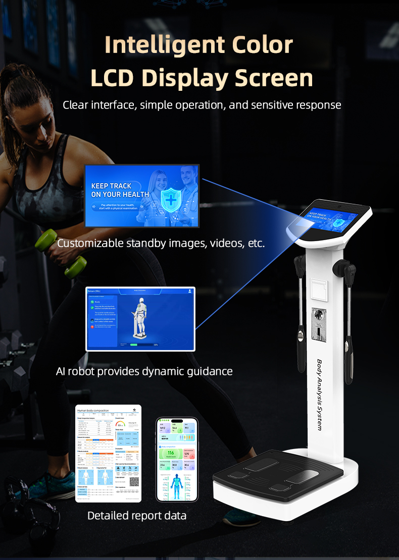 SH-10F Professional Body Composition Analyzer Machine