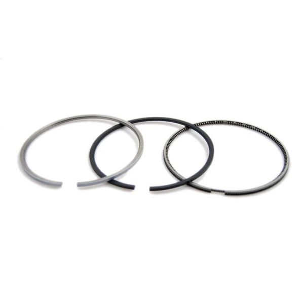 Original Diesel Engine Piston Rings Set  Spare Parts 6CT 3922686 3919918
