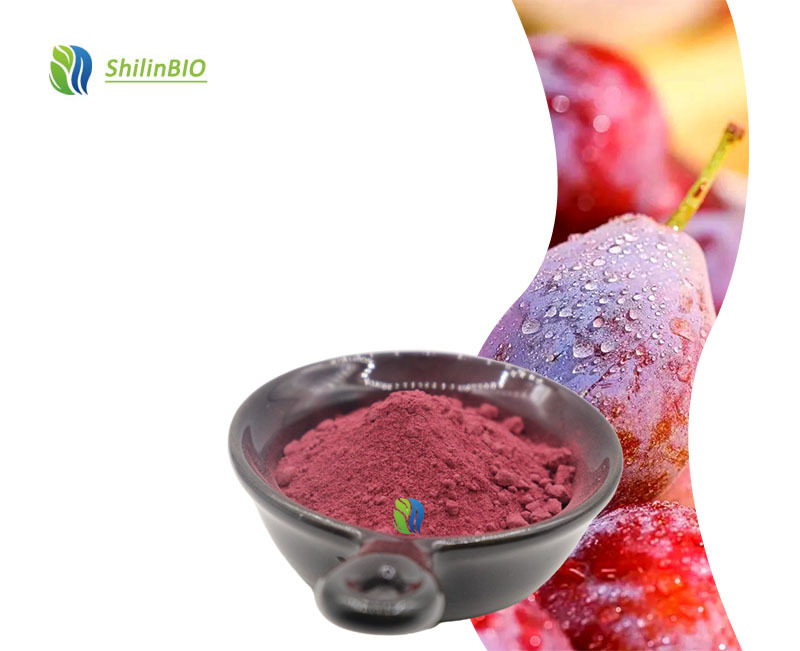 SLBIO Factory Supply Bulk Prune Powder Prune  Fruit Powder Prune  Juice Powder