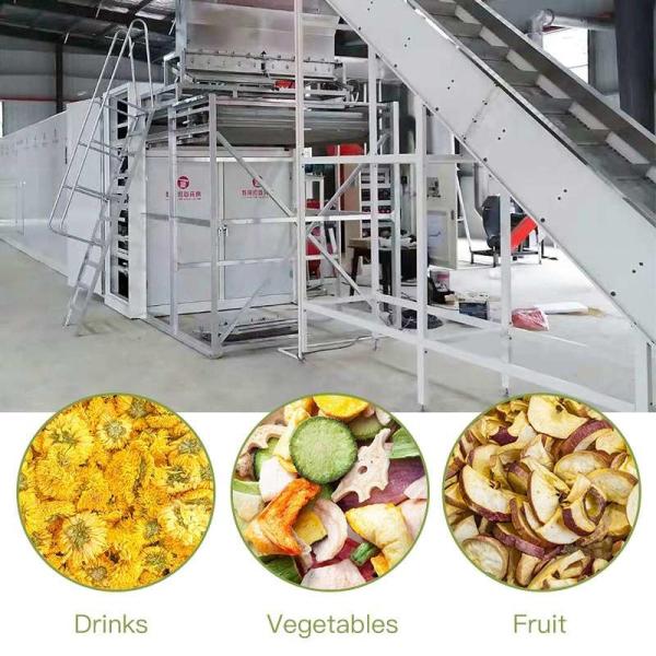 Eco Multi Layer Continuous Belt Dryer Automation OEM
