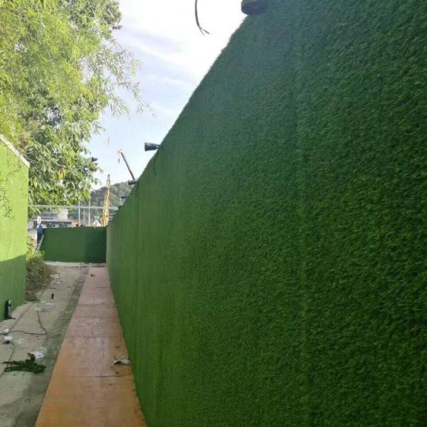8mm Synthetic Grass Carpet Fence Wall Decoration  52500tufts Every Sqm
