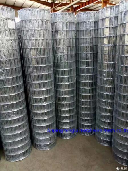 1×1 Stainless Steel Welded Mesh Sheets Low Carbon Iron Wire 300~2500mm Width