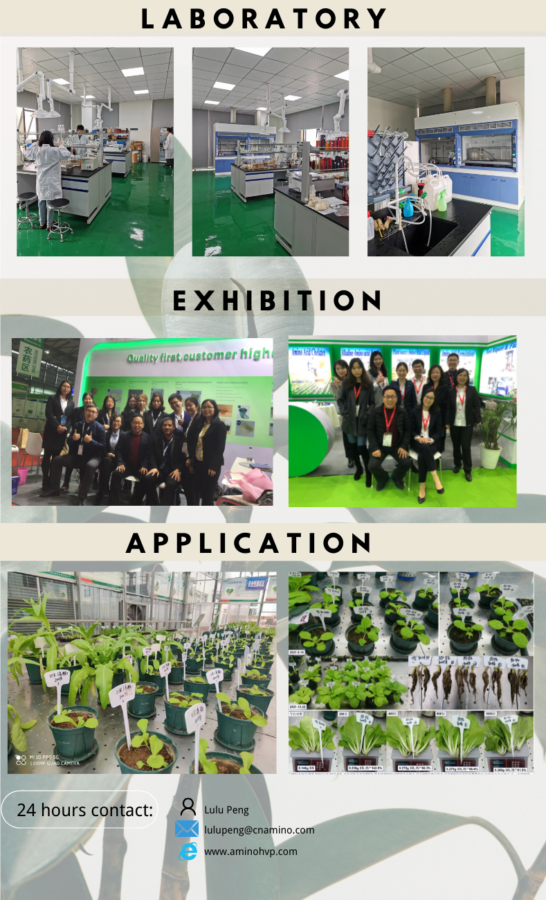 El aminoácido foliar orgánico del fertilizante del nitrógeno quelató el boro del Ca pulveriza el 100% soluble en agua